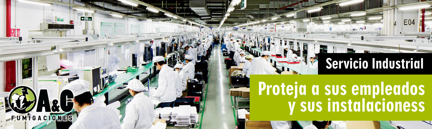 Fumigacion industrial Queretaro