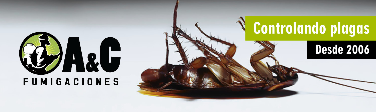 Control de Plagas Queretaro